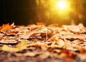 Прогноз погоды на 14 ноября: тепло и почти без осадков (карта)