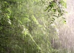 Прогноз погоды на 19 августа: в Украине ожидаются дожди с грозами