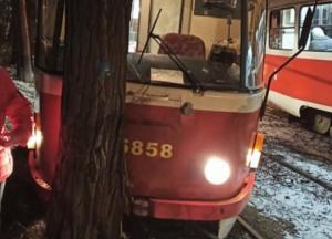 В Киеве трамвай врезался в дерево (фото) 