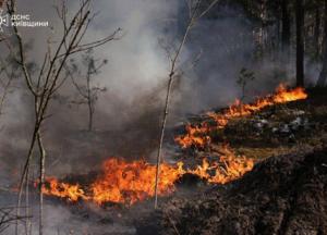 У Чорнобильській зоні розростається масштабна лісова пожежа, мінна небезпека ускладнює гасіння (фото, відео)