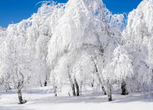 Какой будет зима 2020: приметы и суеверия 