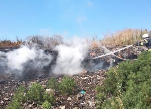 Под Киевом загорелась мусорная свалка (видео)
