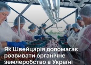 З Рівненщини на ринки Європи: як органічне ягідне підприємство розвиває громади за підтримки Швейцарії