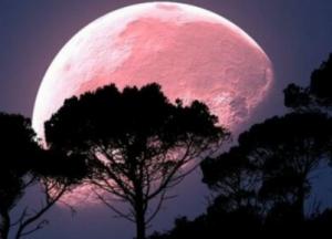 В среду украинцы смогут наблюдать розовую Луну