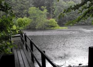 Погода на выходные: в Украине будет тепло и дожди