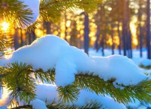 Синоптики дали аномальный прогноз погоды в Украине