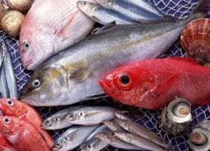 Ученые установили, какой вид рыбы помогает вылечить рак