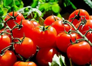 Врачи рассказали, кому нельзя есть помидоры