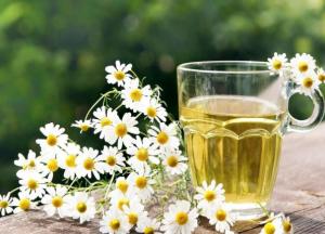 Врачи назвали напиток долгожителей