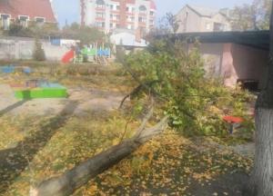 В Кременчуге в детском саду на детей упало дерево