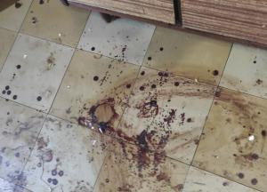В Днепре сын убил свою мать и 4 дня жил с трупом в квартире (фото)