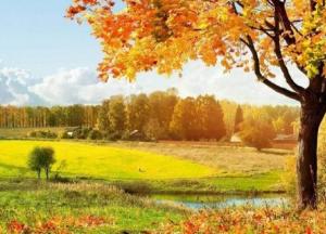 Прогноз погоды на 3 октября: солнечно и тепло, местами дожди