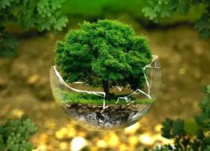 Украина начала жить в экологический долг