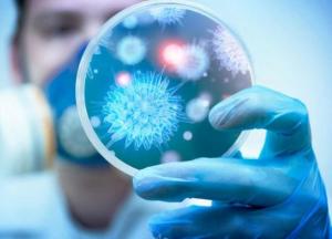 Ученые обнаружили вирус глупости