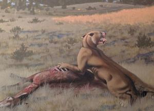 Ученые воссоздали облик саблезубого кота, жившего 9 млн лет назад