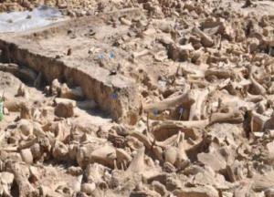 Ученые раскрыли тайну круга из костей мамонта возрастом свыше 25 тысяч лет