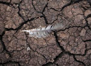 Ученые обнаружили следы одной из крупнейших катастроф в истории Земли