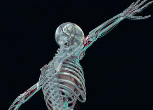 Ученые нашли способ печатать кости прямо внутри организма