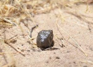 Ученые выяснили происхождение найденного в Ботсване метеорита 