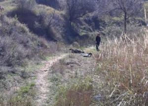 На песчаном карьере в Одесской области нашли тело застреленного мужчины (фото)