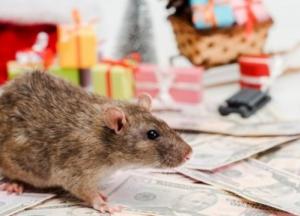 Гороскоп на 2020 год Белой Крысы по году рождения 