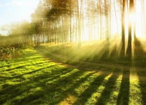 Прогноз погоды на 24 июля: будет солнечно и тепло, кроме Закарпатья