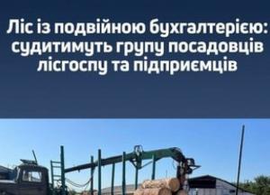На Житомирщині судитимуть посадовців лісгоспу за незаконний продаж деревини на 1,3 млн грн