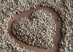 Ученые объяснили, как насытить организм «белком долголетия»