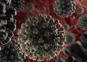 В Чехии выявили новый штамм коронавируса