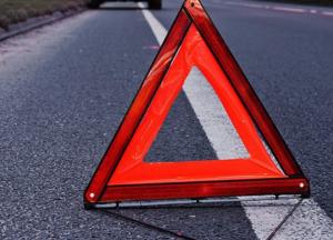 В России сын топ-чиновника МВД снес толпу детей на дороге (видео)