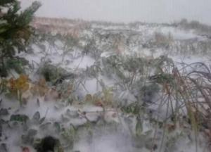 В Карпатах выпал первый снег (фото)