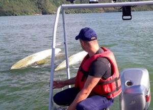 Катамаран с тремя людьми перевернулся в Хмельницкой области