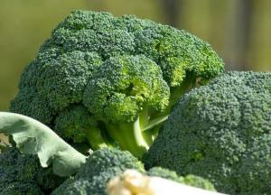 Медики назвали самый эффективный овощ в борьбе с токсинами