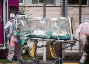 Биологи выяснили, когда коронавирус попал в Италию