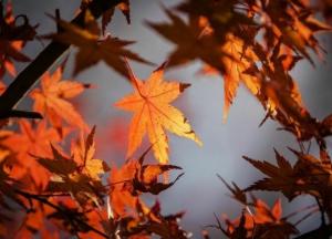 ​Последние выходные октября будут теплыми и солнечными