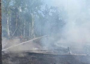 У Чорнобилі вже тиждень ліквідовують пожежу, яка спалахнула внаслідок падіння російських БПЛА (фото)