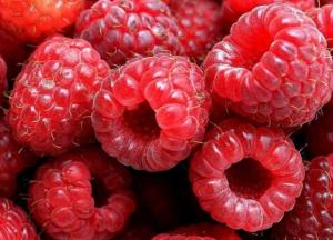 Врачи рассказали, кому противопоказано есть малину
