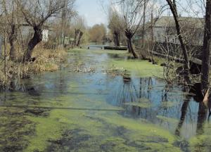 Украинцы потеряют земли и дома: названы последствия изменения климата