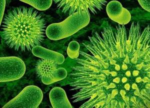 Обнаружен новый тип вируса, не поддающийся лечению