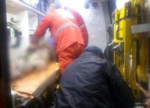 Стая собак в Полтаве напала на женщину, полиция отбивалась газом (фото)