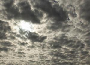 Прогноз погоды на 29 февраля: без дождей, но облачно