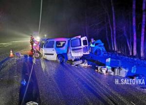 Под Харьковом произошло смертельное ДТП (фото)