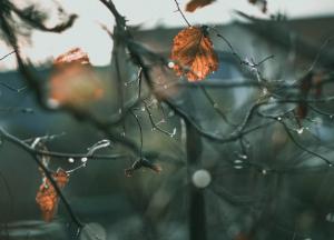 Будет мокро и тепло: синоптики шокировали погодой до конца зимы