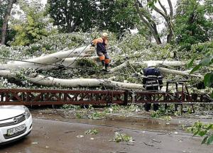 На Николаевщине из-за непогоды упали деревья и электроопоры (фото)
