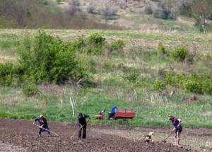 В Украине четыре млн га неподмораторной земли