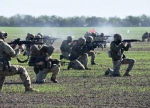 В Украине намерены создать территориальную оборону