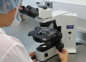 Обнаружен белок, блокирующий размножение ВИЧ