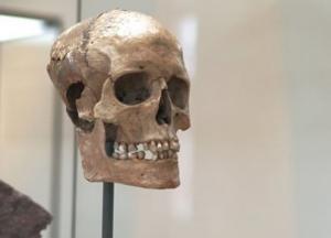 Ученые воссоздали внешность женщины-викинга, погибшей более тысячи лет назад (фото)