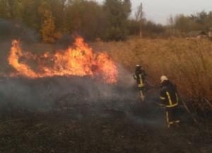 Пожары в Луганской области: полиция назвала число жертв и пропавших без вести