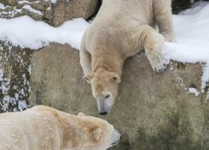 Прогноз погоды на 10 февраля: в Украину направляются сразу 2 циклона